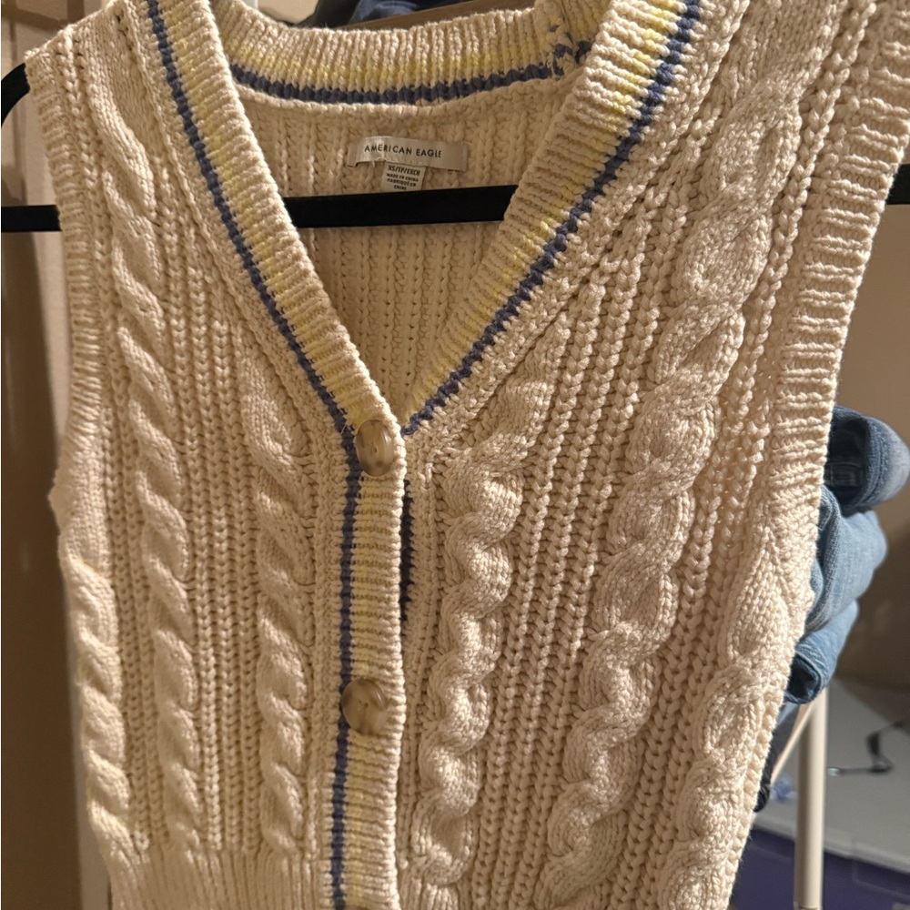 American Eagle Outfitters Cream and Blue Cardigan Sweater